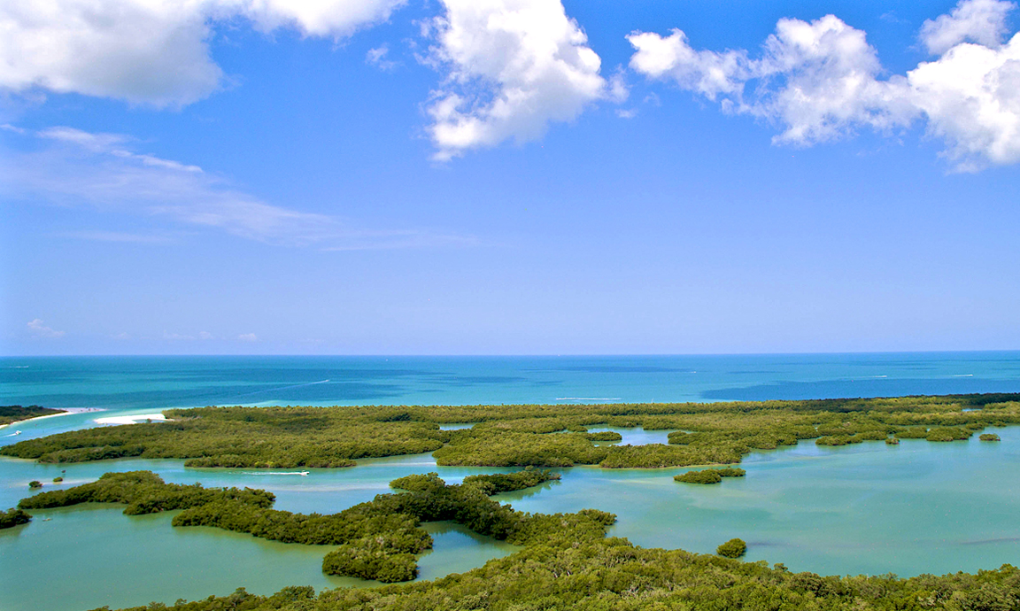 Rooftop View of Kalea Bay