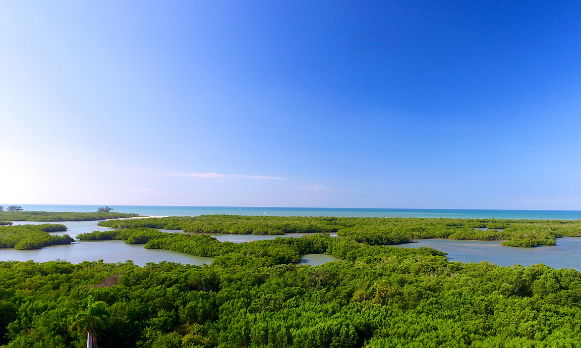 Floor 10 View of Kalea Bay