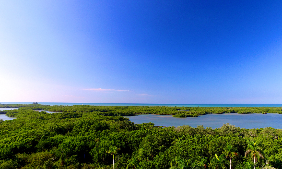 Floor 7 View of Kalea Bay